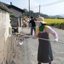 탐진사인마을 이미지