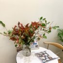 문영기농장 | [어니스트플라워] 파머스 초이스 택배로 오는 꽃 후기