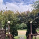 아트인더밸리 이미지