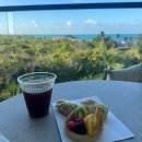 Playa | 칸쿤 호텔] The Finest Playa Mujeres Cancun 칸쿤 더...무헤레스 식당들 디테일한 후기와 추천메뉴 2