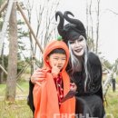 유일농원 일간대한뉴스