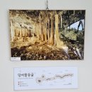 용암길 | 제주 거문오름 용암길 특별개방 다녀온 후기(거문오름 트레킹 준비물,주차)