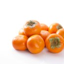 윌동물외상센터 이미지