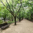 레스토랑마리서사본점 이미지