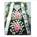 해남버스터미널 ~ 우슬저수지 이미지