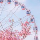 팀터틀랫 중부점 이미지