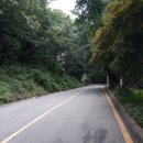 역곡로408번길 이미지