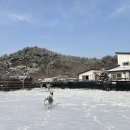 한샘 인테리어(포천점) | 강아지와 함께하는, 1박2일 포천 겨울여행 숙소추천_쓰담쓰담펜션