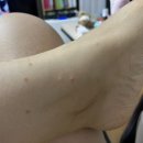 전세정독일피부과의원 이미지