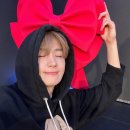 두비