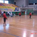 김해체육관 이미지