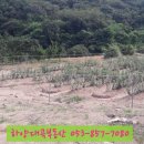 하양대곡공인중개사사무소 이미지