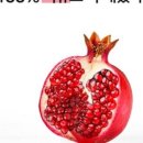 백세당건강 이미지