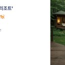 금배네 민박 이미지