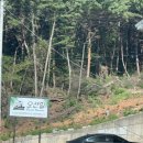 태안오션힐리조트 이미지