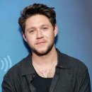 Niall Horan - Nice To Meet Ya(만나서 반가워요) 이미지