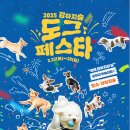 도그야 놀자 이미지