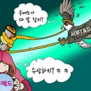 티엔디(T&D)