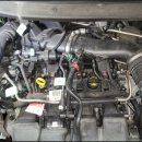 애니카랜드청림점 이미지