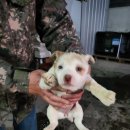 은산3길 이미지