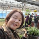 남천농장 이미지