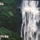 탐윈