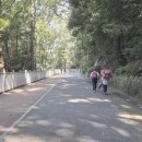 백양산둘레길 트레일러닝 이미지