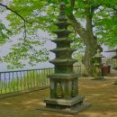 사자사지 이미지