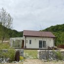 스테이느릿 이미지