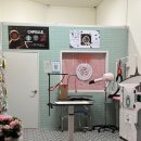 버블독스 부산대점 이미지