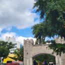 푸른솔유치원 | 서울 가볼만한곳 경희대 서울캠퍼스 가을데이트코스