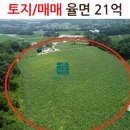이천행정사사무소 이미지
