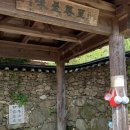 스테이아호이 이미지