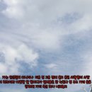 가리정 Daum카페