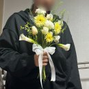 꽃보다 라인댄스 | 뚱땅뚱땅 웨딩촬영 후기 (부산 모네스튜디오)