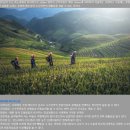 9.17,(수)~9.22,(월)/4박6일 아시아나항공 베트남 사파, 닌빈 신청하세요 이미지