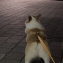 정희네이모
