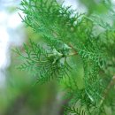 느림보강물길 이미지