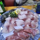 묵호항세꼬시 | 금정역 대방어 맛집 ‘묵호항세꼬시’ 솔직 후기