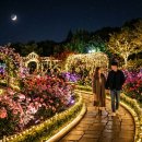 곡성-013 네이버블로그