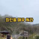 제4회 포항 장기유배문화제 이미지