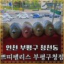 이미영스킨케어 | 인천 청천동 - 쁘띠팰리스 부평구청점! 부평피부관리, 부평에너지테라피, 부평승모근관리