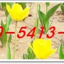 신두만곡로 이미지