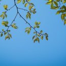 혜움행정사사무소 이미지