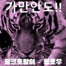 진흥탕 | [12월 돈버는 독서모임 42조 핑호] 웰씽킹 후기_이카님과 함께 하는 부자 되는 방법~~!! (with 🧡월부...