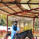 운악호스랜드 이미지