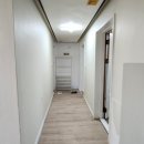 하모리-19 이미지