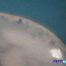 마린동물병원 이미지