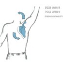 더블제이짐 이미지