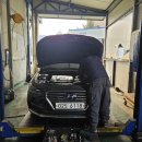 광성카독크 이미지